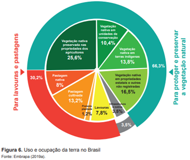 Entenda Como O Brasil Se Tornou O Maior Produtor De Soja Do Mundo ...