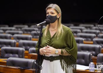 Deputados e entidades do setor agropecuário debatem soluções para a escassez de milho