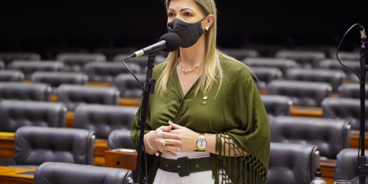 Deputados e entidades do setor agropecuário debatem soluções para a escassez de milho