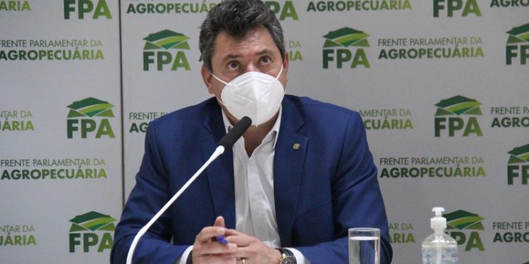 Projeto de lei cria fundo para conservação e uso sustentável dos biomas brasileiros