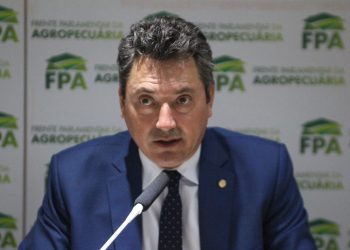 Vegetais comercializados no Brasil são seguros para consumo