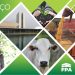 A Frente Parlamentar da Agropecuária produziu pelo Brasil em 2021