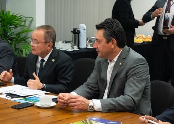 Membros da FPA querem celeridade na análise do projeto de pesticidas no Senado 