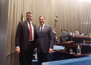 Fundo Garantidor Solidário fortalece volume de crédito ao setor agropecuário