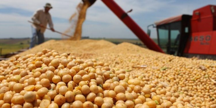 Entenda como o Brasil se tornou o maior produtor e exportador de soja do mundo