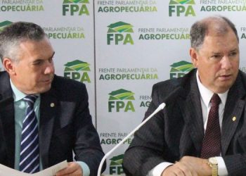 Selo Arte garante amplo mercado para comercialização de queijos artesanais brasileiros