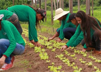 Agro registra 28,1 milhões de trabalhadores no 1º trimestre de 2023