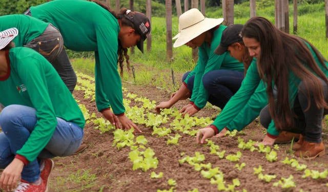Agro registra 28,1 milhões de trabalhadores no 1º trimestre de 2023