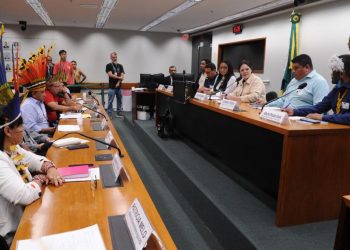 Câmara debate a importância do agroindígena para o desenvolvimento do Brasil