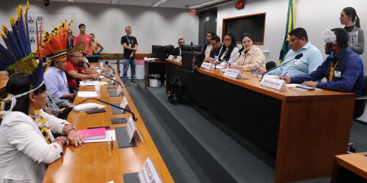 Câmara debate a importância do agroindígena para o desenvolvimento do Brasil