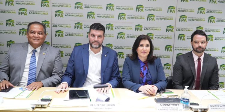 Tebet diz que maior valor do Seguro Rural depende da aprovação do arcabouço fiscal