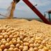 Ministério da Agricultura amplia janela para o plantio de soja