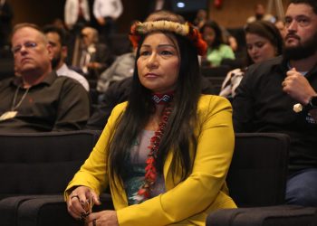 FPA denuncia ataque ao devido processo legislativo na Comissão de Povos Indígenas