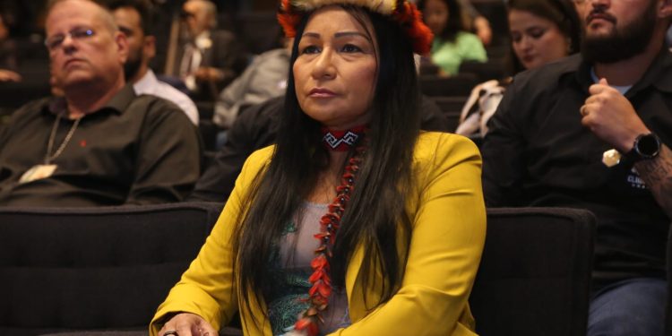 FPA denuncia ataque ao devido processo legislativo na Comissão de Povos Indígenas