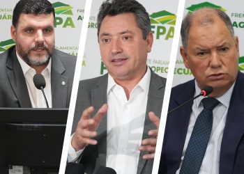 FPA apresenta emendas à Lei de Diretrizes Orçamentárias