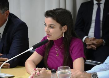 Bancada acredita na aprovação do projeto de transição energética neste ano