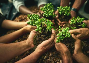 Brasil assume papel de liderança na agricultura sustentável