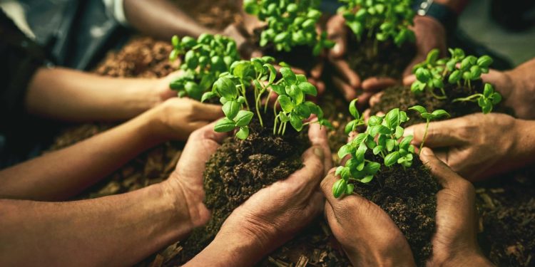Brasil assume papel de liderança na agricultura sustentável