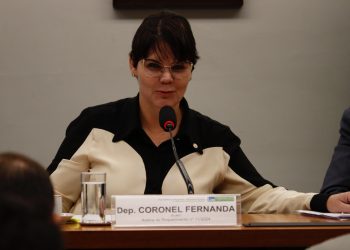 Moratória da Soja: audiência pública debate impactos socioeconômicos e ambientais