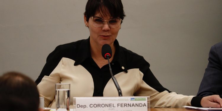 Moratória da Soja: audiência pública debate impactos socioeconômicos e ambientais