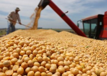 Crise e quebra de safra ameaçam o produtor rural brasileiro