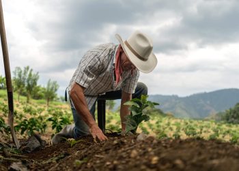 Desafios e perspectivas da agricultura: entre a crise e a sustentabilidade