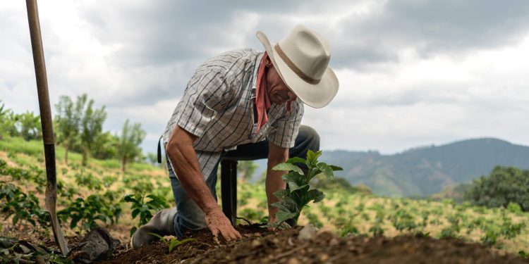 Desafios e perspectivas da agricultura: entre a crise e a sustentabilidade