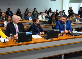 Audiência pública debate Código Florestal e restauração de vegetação nativa