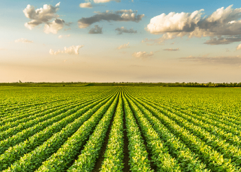 FPA articula devolução de ‘MP do Fim do Mundo’ ao Poder Executivo