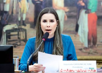 Primeiro semestre da CCJC é marcado por avanços legislativos no desenvolvimento do agro