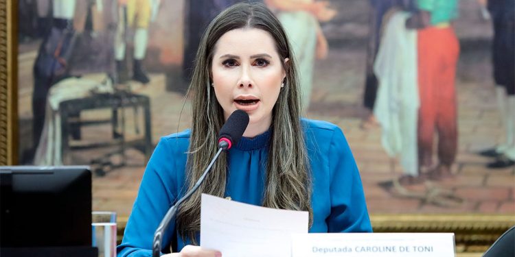 Primeiro semestre da CCJC é marcado por avanços legislativos no desenvolvimento do agro