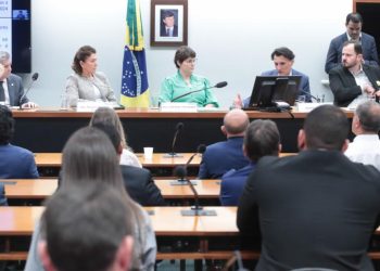 Comissão debate moratória da soja e da carne e consequências para os municípios da Amazônia Legal