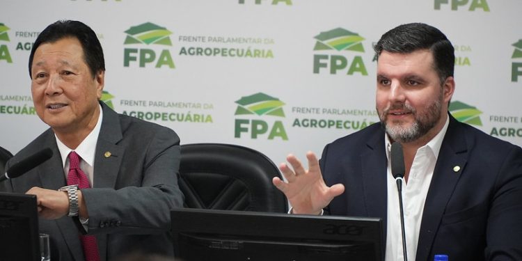 Pauta prioritária: FPA cobra medidas eficazes para os produtores do RS