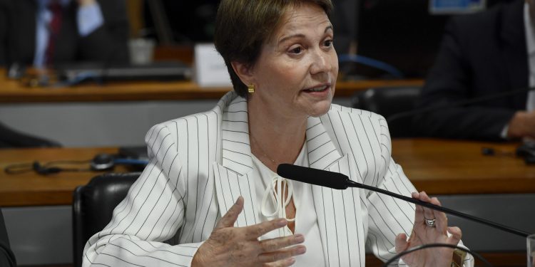 Senado aprova proposta que fortalece o enfrentamento de emergência fitossanitária ou zoossanitária