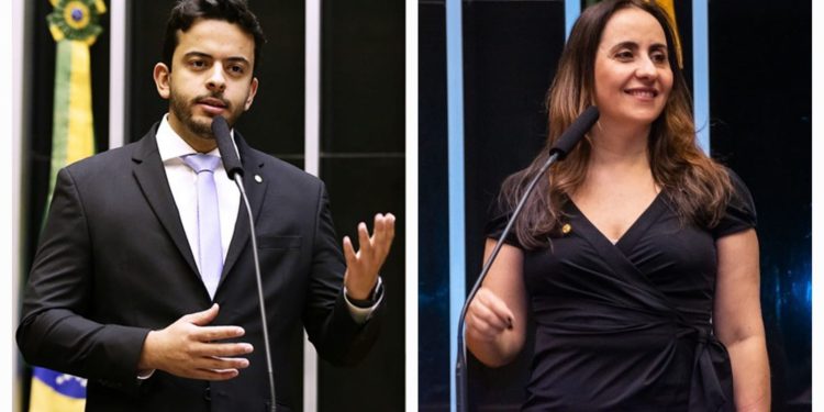 Plenário da Câmara atualiza base normativa da biotecnologia da reprodução