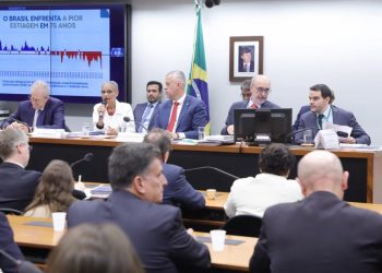 Deputados da FPA cobram atuação concreta de ministra do Meio Ambiente sobre incêndios no país