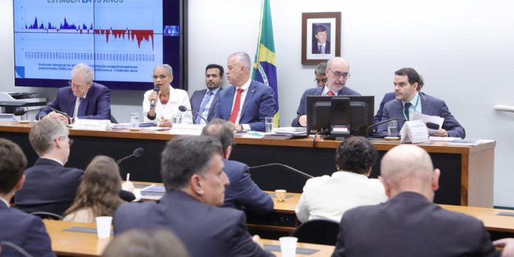 Deputados da FPA cobram atuação concreta de ministra do Meio Ambiente sobre incêndios no país