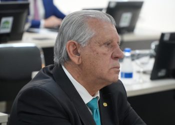 Vegetação nativa: projeto que reforça monitoramento e proteção de crimes ambientais no Brasil é aprovado