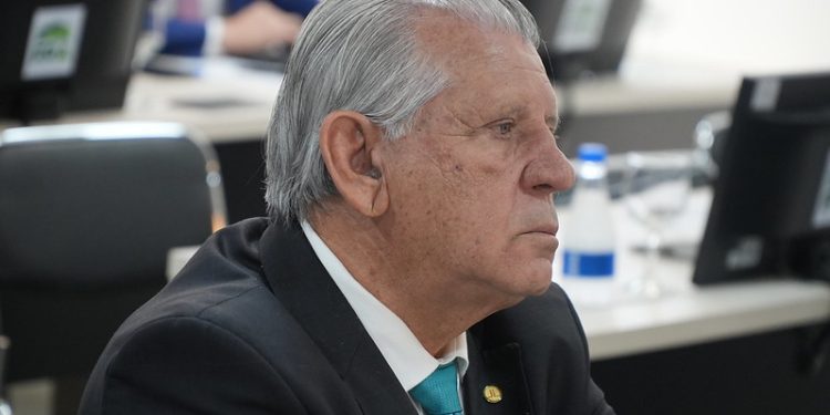 Vegetação nativa: projeto que reforça monitoramento e proteção de crimes ambientais no Brasil é aprovado