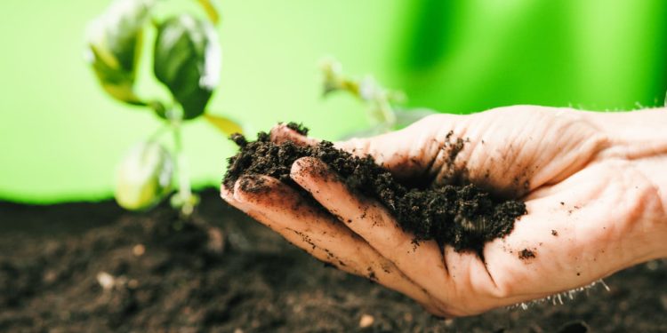 Líder mundial no uso de defensivos biológicos, Brasil precisa aprovar projeto de bioinsumos