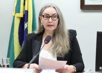 Audiência debate soluções para reduzir despesas de grãos na região Sul