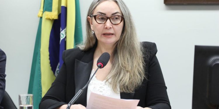 Audiência debate soluções para reduzir despesas de grãos na região Sul