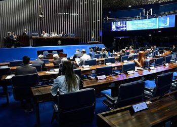 Tereza Cristina destaca licenciamento ambiental como prioridade no Senado sob nova presidência