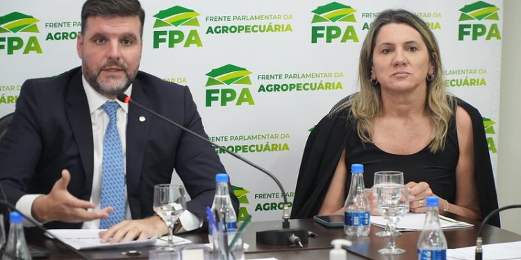 Setor produtivo e bancada do agro sugerem ações para reduzir inflação de alimentos
