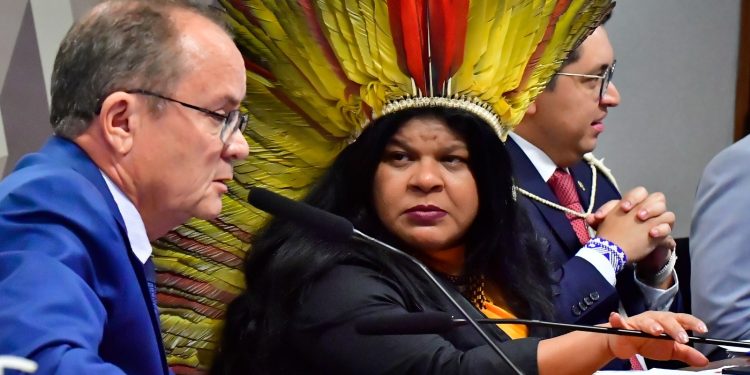 Senadores da FPA questionam parceria entre Ministério dos Povos Indígenas e multinacional