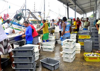 Governo ameaça destruir a cadeia produtiva de pescados no Brasil
