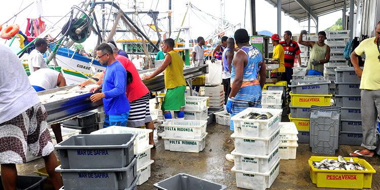 Governo ameaça destruir a cadeia produtiva de pescados no Brasil
