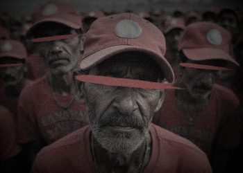 Narrativas falsas do MST distorcem realidade do agro brasileiro