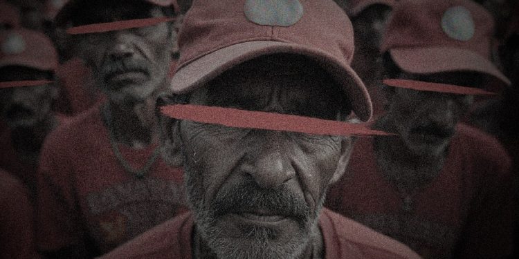 Narrativas falsas do MST distorcem realidade do agro brasileiro