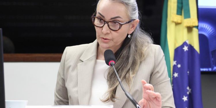 Dep. Daniela Reinehr (PL - SC) - Foto: Vinicius Loures/Câmara dos Deputados